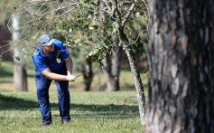 Foto de la galería: Postales del Abierto Misiones de golf