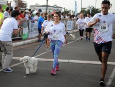 Foto de la galería: Maratón de la Provincia: un éxito en la costanera posadeña