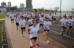 Foto de la galería: Maratón de la Provincia: un éxito en la costanera posadeña