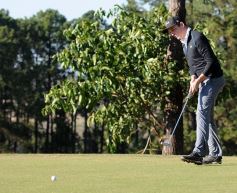Foto de la galería: Una vidriera de lujo: el Abierto de Misiones