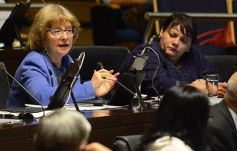 Foto de la galería: Crean un programa de acompañamiento a niños y adolescentes progenitores