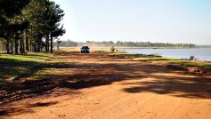 Foto de la galería: La EBY, Temaikèn y la UNaM se unen para la conservación en la reserva Candelaria