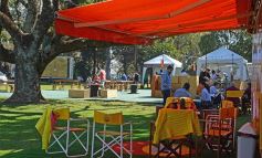 Foto de la galería: Premios, desfile, show y mucha diversión en el Tacurú