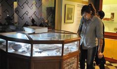 Foto de la galería: El Museo Cambas inauguró su Sala “Cultura Guaraní”