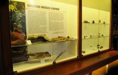 Foto de la galería: El Museo Cambas inauguró su Sala “Cultura Guaraní”