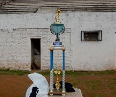 Foto de la galería: El Deca cumplió 105 años