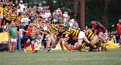 Foto de la galería: Centro, ascendido al Regional del Nordeste