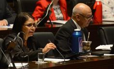 Foto de la galería: Rovira destacó la importancia institucional del Parlamento Estudiantil