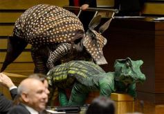 Foto de la galería: Rovira destacó la importancia institucional del Parlamento Estudiantil