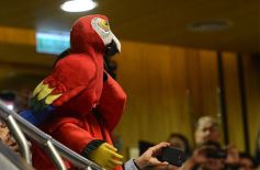 Foto de la galería: Rovira destacó la importancia institucional del Parlamento Estudiantil