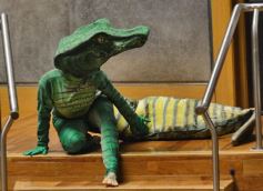 Foto de la galería: Rovira destacó la importancia institucional del Parlamento Estudiantil