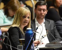 Foto de la galería: Misiones regula la instalación de sistemas para controlar la velocidad en rutas que pasen por zonas urbanas