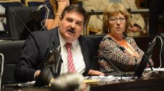 Foto de la galería: Misiones regula la instalación de sistemas para controlar la velocidad en rutas que pasen por zonas urbanas