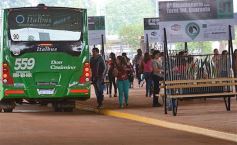 Foto de la galería: Terminal de Tranferencia Quaranta, en marcha