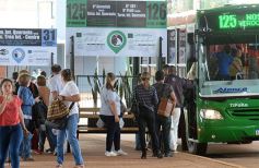 Foto de la galería: Terminal de Tranferencia Quaranta, en marcha