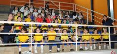 Foto de la galería: Fiesta de Educación Física del Colegio del Carmen en el Finito Gehrmann