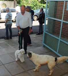 Foto de la galería: Postales de la histórica jornada de elecciones en Misiones
