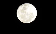 Foto de la galería: Empate a 0 entre Crucero del Norte y Mandiyú