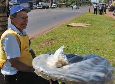 Foto de la galería: Amigos, amigos y más amigos en Posadas