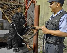 Foto de la galería: Guaraní volvió a sonreír en Villa Sarita