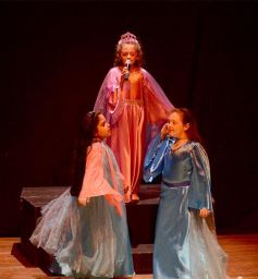 Foto de la galería: Los talentosos mini actores pusieron en escena La Cenicienta en el Vicente Cidade