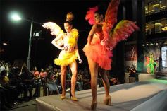 Foto de la galería: Imponente desfile con el sello de Miuki Madelaire en la explanada de la Legislatura