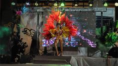 Foto de la galería: Imponente desfile con el sello de Miuki Madelaire en la explanada de la Legislatura