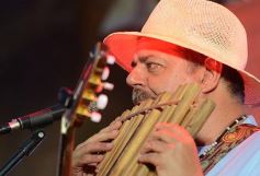 Foto de la galería: Imponente desfile con el sello de Miuki Madelaire en la explanada de la Legislatura