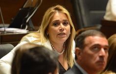 Foto de la galería: Juraron los nuevos diputados y volvieron a elegir a Carlos Rovira como presidente de la Cámara