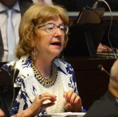 Foto de la galería: Juraron los nuevos diputados y volvieron a elegir a Carlos Rovira como presidente de la Cámara