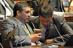 Foto de la galería: Juraron los nuevos diputados y volvieron a elegir a Carlos Rovira como presidente de la Cámara