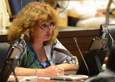 Foto de la galería: Juraron los nuevos diputados y volvieron a elegir a Carlos Rovira como presidente de la Cámara