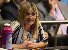 Foto de la galería: Juraron los nuevos diputados y volvieron a elegir a Carlos Rovira como presidente de la Cámara