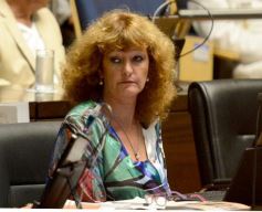 Foto de la galería: Juraron los nuevos diputados y volvieron a elegir a Carlos Rovira como presidente de la Cámara