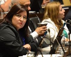 Foto de la galería: La Legislatura provincial aprobó el acuerdo de consenso fiscal firmado con la Nación