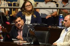 Foto de la galería: La Legislatura provincial aprobó el acuerdo de consenso fiscal firmado con la Nación