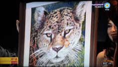 Foto de la galería: Artistas misioneros en Cosquín: embajadores de lujo