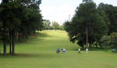 Foto de la galería: Sábado a puro golf en el Tacurú