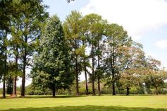 Foto de la galería: Sábado a puro golf en el Tacurú