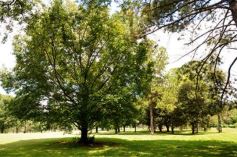 Foto de la galería: Sábado a puro golf en el Tacurú