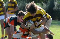 Foto de la galería: Tacurú-Lomas: el futuro del rugby misionero en acción