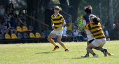 Foto de la galería: Tacurú-Lomas: el futuro del rugby misionero en acción