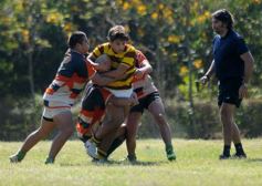 Foto de la galería: Tacurú-Lomas: el futuro del rugby misionero en acción