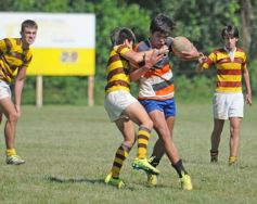 Foto de la galería: Tacurú-Lomas: el futuro del rugby misionero en acción