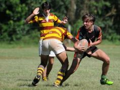 Foto de la galería: Tacurú-Lomas: el futuro del rugby misionero en acción