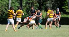 Foto de la galería: Tacurú-Lomas: el futuro del rugby misionero en acción