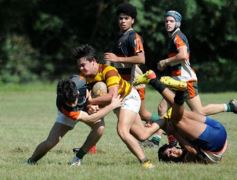 Foto de la galería: Tacurú-Lomas: el futuro del rugby misionero en acción