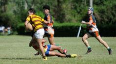 Foto de la galería: Tacurú-Lomas: el futuro del rugby misionero en acción