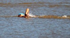 Foto de la galería: Volvió un clásico: Aguas Abiertas en el río Paraná