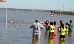 Foto de la galería: Volvió un clásico: Aguas Abiertas en el río Paraná